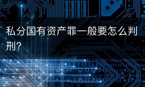 私分国有资产罪一般要怎么判刑?