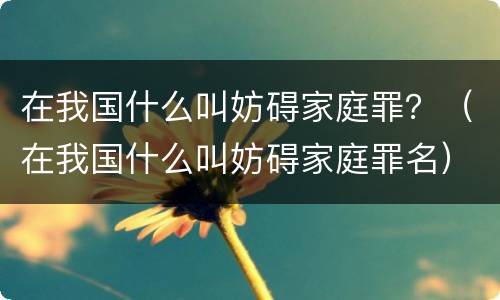 在我国什么叫妨碍家庭罪？（在我国什么叫妨碍家庭罪名）