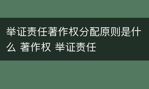 举证责任著作权分配原则是什么 著作权 举证责任
