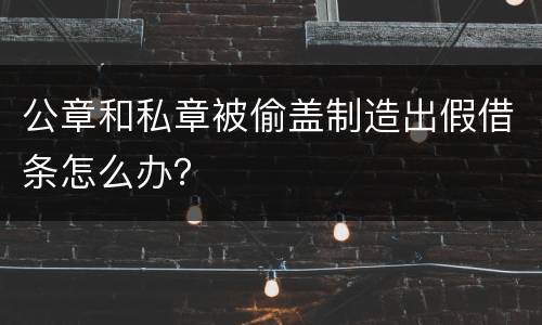 公章和私章被偷盖制造出假借条怎么办？