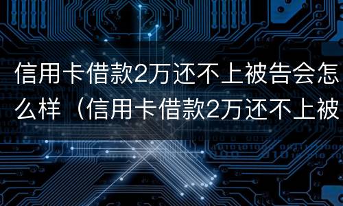 信用卡借款2万还不上被告会怎么样（信用卡借款2万还不上被告会怎么样呢）