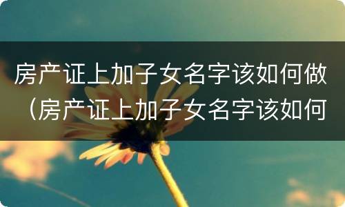 房产证上加子女名字该如何做（房产证上加子女名字该如何做证明）