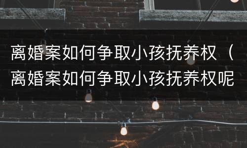 离婚案如何争取小孩抚养权（离婚案如何争取小孩抚养权呢）