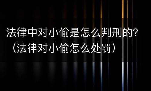 法律中对小偷是怎么判刑的？（法律对小偷怎么处罚）