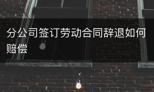 分公司签订劳动合同辞退如何赔偿