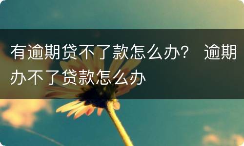 有逾期贷不了款怎么办？ 逾期办不了贷款怎么办