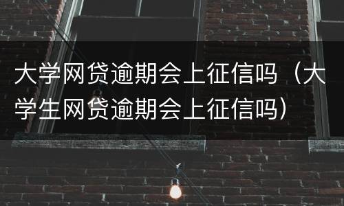 大学网贷逾期会上征信吗（大学生网贷逾期会上征信吗）