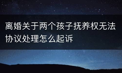 离婚关于两个孩子抚养权无法协议处理怎么起诉