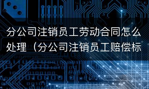 分公司注销员工劳动合同怎么处理（分公司注销员工赔偿标准）
