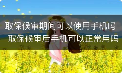 取保候审期间可以使用手机吗 取保候审后手机可以正常用吗