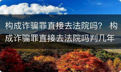 构成诈骗罪直接去法院吗？ 构成诈骗罪直接去法院吗判几年