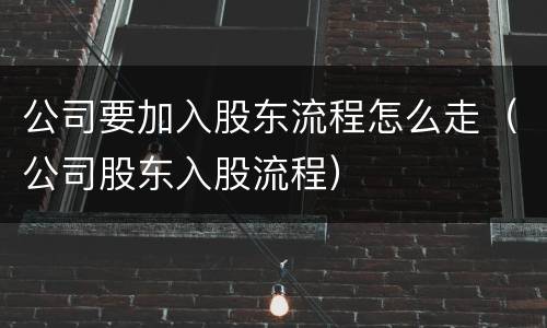 公司要加入股东流程怎么走（公司股东入股流程）