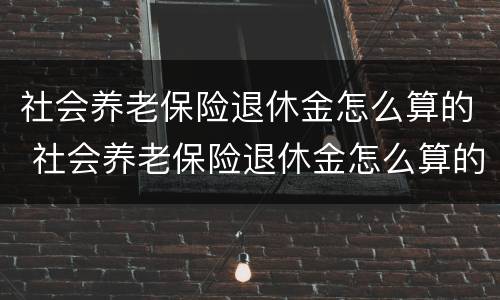 社会养老保险退休金怎么算的 社会养老保险退休金怎么算的呀