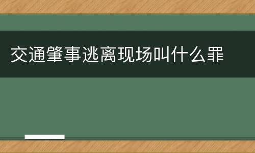 交通肇事逃离现场叫什么罪