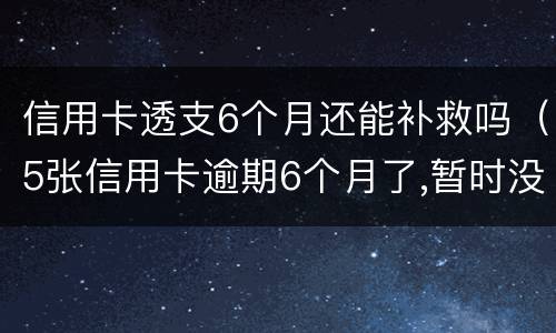 信用卡透支6个月还能补救吗（5张信用卡逾期6个月了,暂时没能力还）