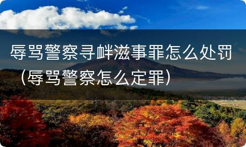 辱骂警察寻衅滋事罪怎么处罚（辱骂警察怎么定罪）