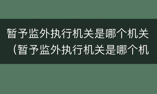 暂予监外执行机关是哪个机关（暂予监外执行机关是哪个机关）