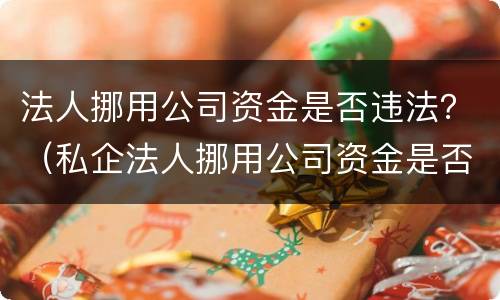 法人挪用公司资金是否违法？（私企法人挪用公司资金是否违法）