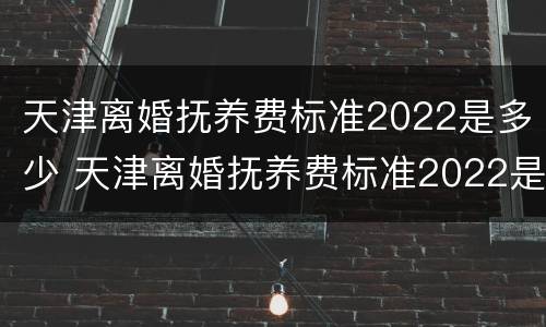 天津离婚抚养费标准2022是多少 天津离婚抚养费标准2022是多少呢