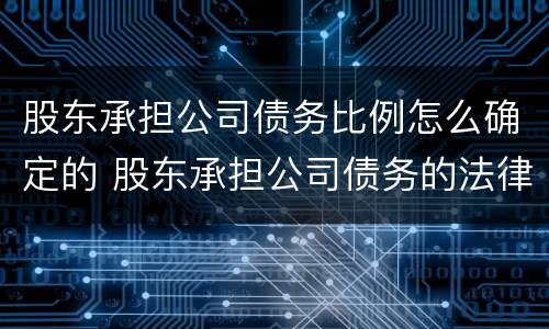 股东承担公司债务比例怎么确定的 股东承担公司债务的法律依据