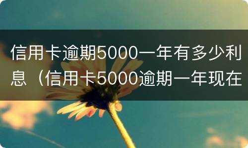 信用卡逾期5000一年有多少利息（信用卡5000逾期一年现在还多少）