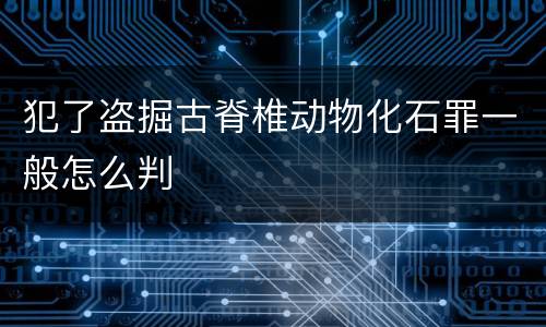 犯了盗掘古脊椎动物化石罪一般怎么判