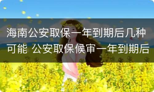 海南公安取保一年到期后几种可能 公安取保候审一年到期后多久结案