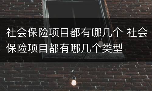 社会保险项目都有哪几个 社会保险项目都有哪几个类型