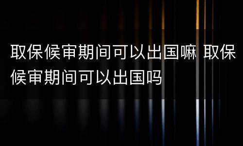 取保候审期间可以出国嘛 取保候审期间可以出国吗