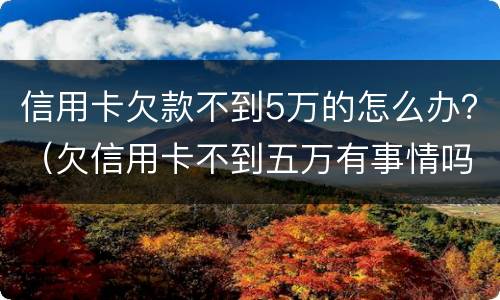 信用卡欠款不到5万的怎么办？（欠信用卡不到五万有事情吗）