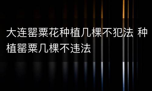 大连罂粟花种植几棵不犯法 种植罂粟几棵不违法