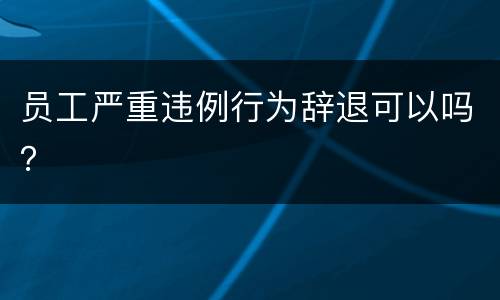 员工严重违例行为辞退可以吗？