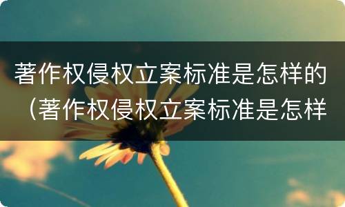 著作权侵权立案标准是怎样的（著作权侵权立案标准是怎样的呢）