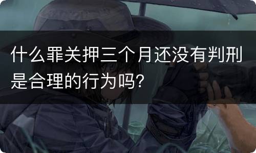 什么罪关押三个月还没有判刑是合理的行为吗？