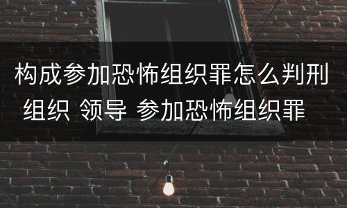 构成参加恐怖组织罪怎么判刑 组织 领导 参加恐怖组织罪