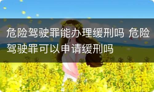 危险驾驶罪能办理缓刑吗 危险驾驶罪可以申请缓刑吗