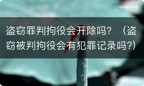 盗窃罪判拘役会开除吗？（盗窃被判拘役会有犯罪记录吗?）