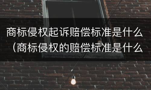 商标侵权起诉赔偿标准是什么（商标侵权的赔偿标准是什么）