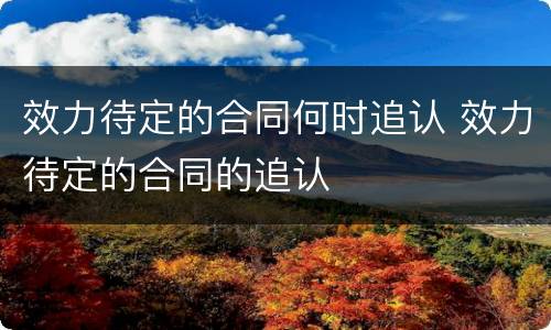 效力待定的合同何时追认 效力待定的合同的追认