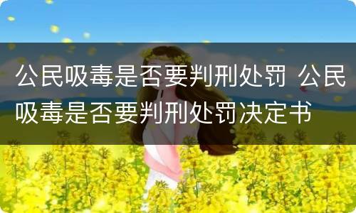 公民吸毒是否要判刑处罚 公民吸毒是否要判刑处罚决定书