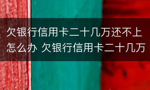 欠银行信用卡二十几万还不上怎么办 欠银行信用卡二十几万还不上怎么办呢