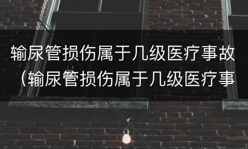 输尿管损伤属于几级医疗事故（输尿管损伤属于几级医疗事故吗）