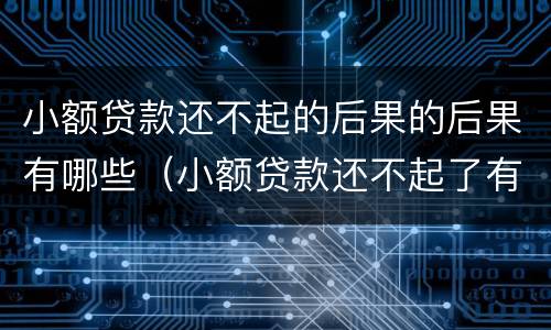 小额贷款还不起的后果的后果有哪些（小额贷款还不起了有什么后果）