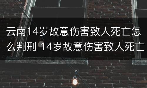 云南14岁故意伤害致人死亡怎么判刑 14岁故意伤害致人死亡 判决