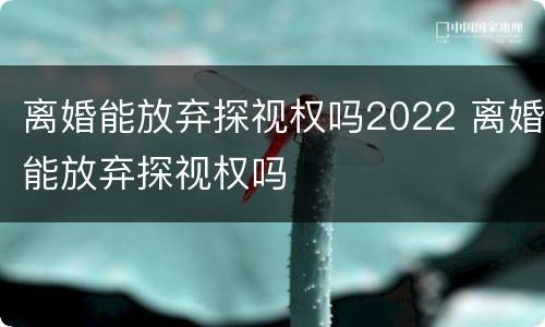 离婚能放弃探视权吗2022 离婚能放弃探视权吗