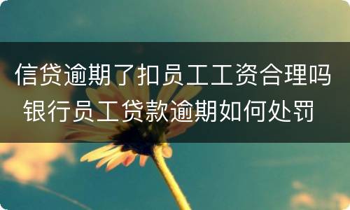 信贷逾期了扣员工工资合理吗 银行员工贷款逾期如何处罚