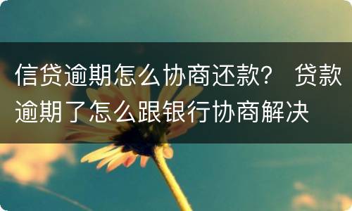 信贷逾期怎么协商还款？ 贷款逾期了怎么跟银行协商解决