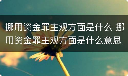 挪用资金罪主观方面是什么 挪用资金罪主观方面是什么意思