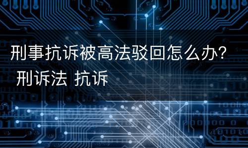 刑事抗诉被高法驳回怎么办？ 刑诉法 抗诉