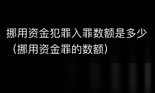 挪用资金犯罪入罪数额是多少（挪用资金罪的数额）
